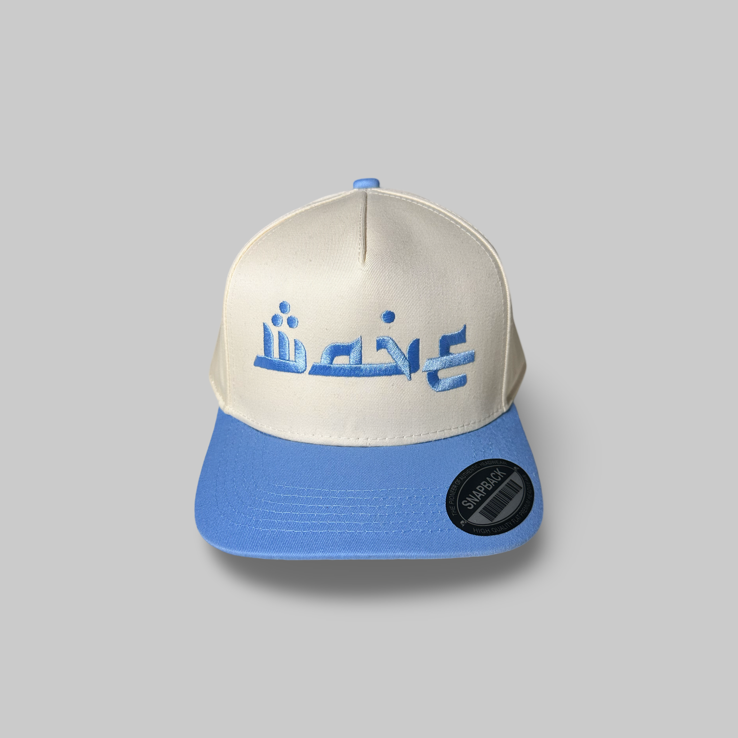 Wave Embroidered Two Tone SnapBack