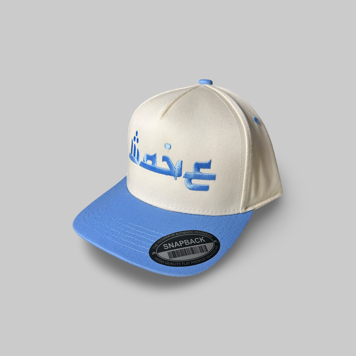 Wave Embroidered Two Tone SnapBack